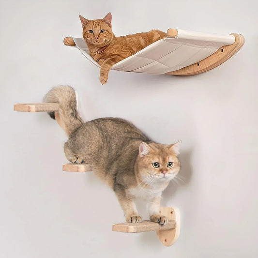 Design & Well-Being: Pet Accessories Guide
